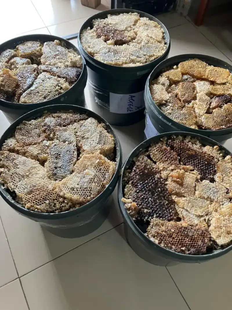 Raw honeycomb harvest